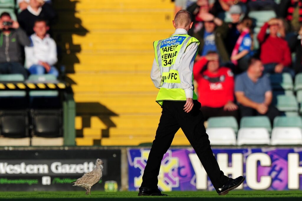 VACANCY | Matchday stewards required