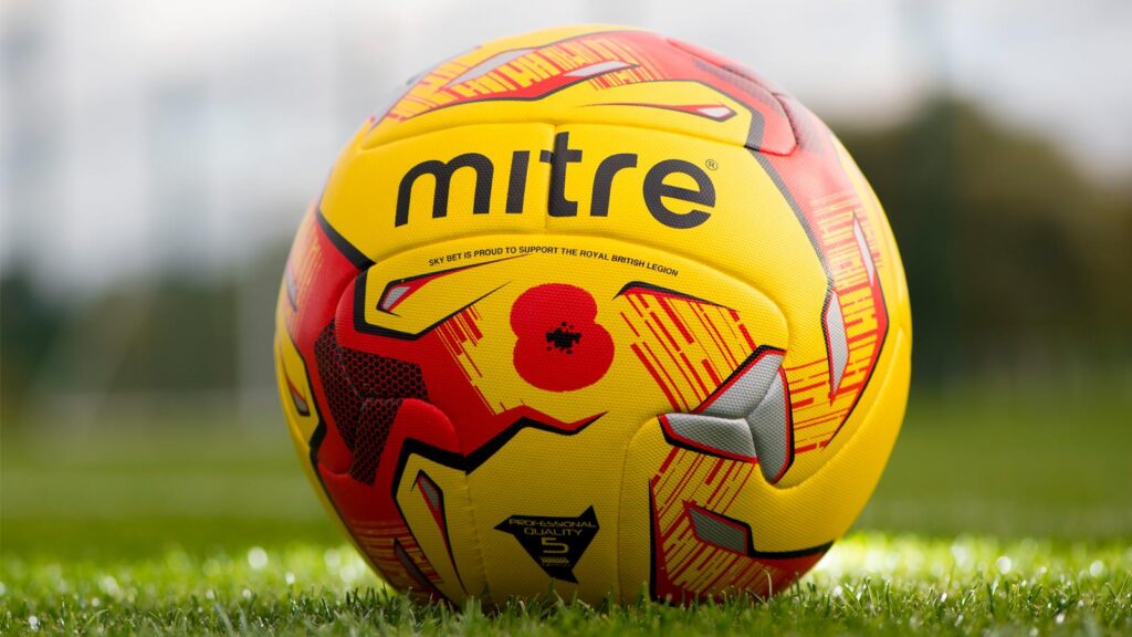 LIMITED EDITION POPPY BALLS TO BE USED