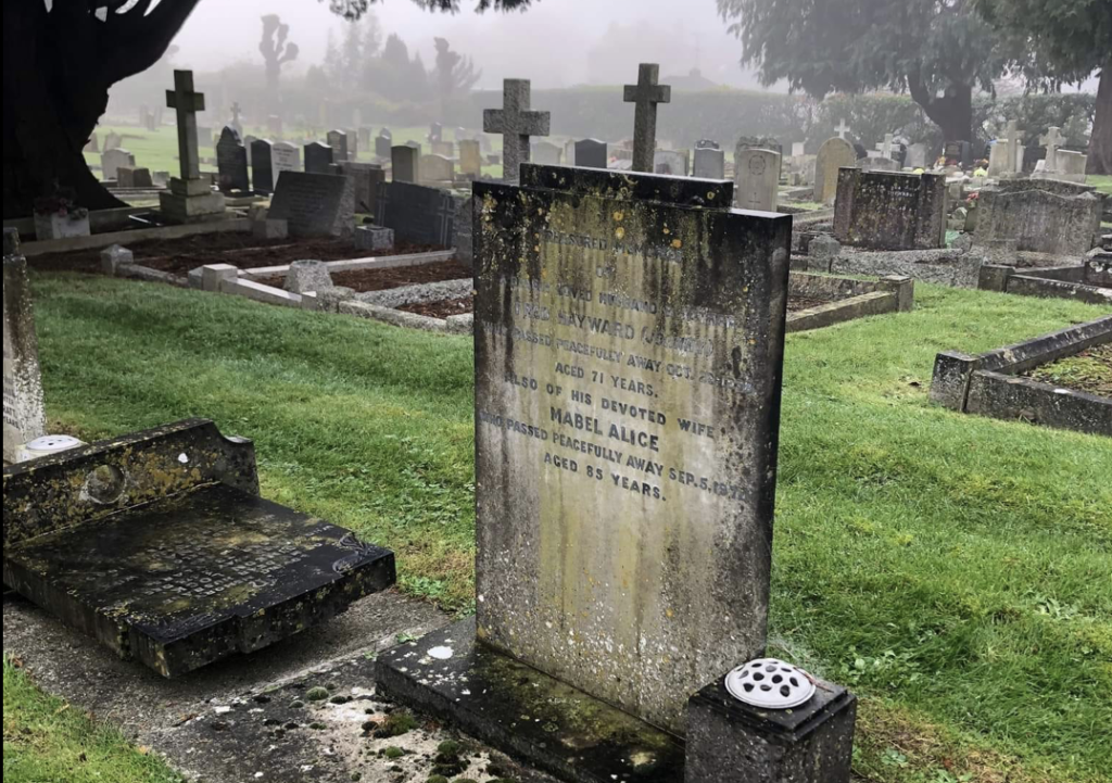 APPEAL | Johnny Hayward grave appeal
